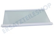 Hisense 566819 Gefrierschrank Glasplatte geeignet für u.a. PCS4178L, PCS3178L