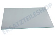 Hisense 563773 Gefrierschrank Glasplatte geeignet für u.a. PCS3178L, PCS4178L