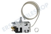 Pelgrim 36404 Gefrierschrank Thermostat 4 Kont. L-Cap = 125cm geeignet für u.a. KK2200AP, EEK151, AK2102
