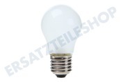 Samsung 4713001201 4713-001201 Kühlschrank Lampe Bulb 40W E27 geeignet für u.a. RL38HGIS1, RSH1DTPE1