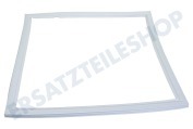 Zanussi-electrolux 2426448060 Gefrierschrank Dichtungsgummi Gefrierschrank geeignet für u.a. ZRB329W, ZRB29NA8, ZRB29NC