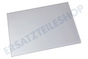 Satrap 2064574052 Gefrierschrank Tür Kühlschrank-Tür, Weiß, 544x793mm geeignet für u.a. ZRG714SW, ZRG316CW