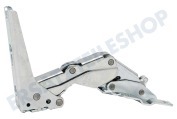 Zanussi 2211202037 Gefrierschrank Scharnier Metall, rechts oben/links unten geeignet für u.a. ZQS6124, ZUD9124A
