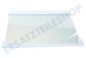 Leonard 2251531063 Glasplatte 475x310mm Gefrierschrank Glasplatte inkl. Schutzränder geeignet für u.a. ZI9225A, ZI2404, ERO2286, ZI9218FFA
