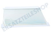Elektra-bregenz 2251374530 Glasplatte 475x310mm, Gefrierschrank Glasplatte Inkl. Schutzränder geeignet für u.a. ZI9225A, ZI2404, ERO2286, ZI9218FFA