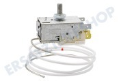 Domoline 2262136027 Gefrierschrank Thermostat K 59-L 1234 geeignet für u.a. 3 Kontakte