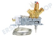 Dometic 241219020 Gefrierschrank Steuerblock Gas/Elektro geeignet für u.a. RGE2100, RGE4000