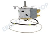 Amica HK1093322 Gefrierschrank Thermostat Kühlschrank geeignet für u.a. RB400D4AD2, RB224D4BWF