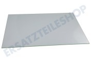 Zanker Ofen-Mikrowelle 140040025011 Türglas innen geeignet für u.a. ZOP37982XK, BSE577021M