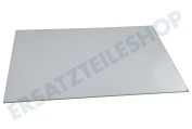 Zanker Ofen-Mikrowelle 3561630017 Türglas Intern geeignet für u.a. BP801271SM, EEC5700AOX