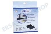Eurofilter C00308166 Abzugshaube Filter Kohlefilter 193x135 geeignet für u.a. AGS, HA19VT, AGMMT