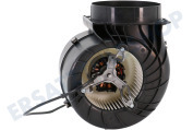 Viva 11022541 Abzugshauben Motor der Abzugshaube geeignet für u.a. DWA097A5004, LF97GA53203
