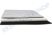 DeLonghi 5537000900 Luftbehandlung Filter Hepa-Filter + Kohlefilter geeignet für u.a. DAP700E