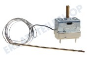 Functionica 481228228227 Ofen-Mikrowelle Thermostat Mit Stiftsensor geeignet für u.a. AKP602, BMZ3000, AKP682