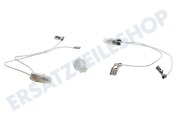 Firenzi 480131000099 Ofen-Mikrowelle Lampe Anzeigeleuchte, ohne Glas geeignet für u.a. AKZ205, AKS2010, AKP565