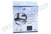 Eurofilter 781427 Abzugshauben Filter Kohlenstoff 25,5 x 22,5 cm geeignet für u.a. KF65 / P01