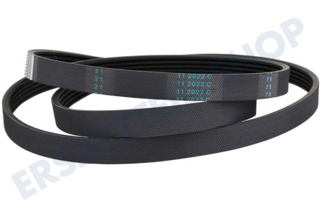 Siemens Trockner 439490, 00439490 Keilrippenriemen 1255 J5 TEM