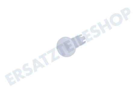 Gorenje Buchse