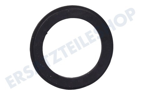 Kenwood Waschmaschine Dichtungsgummi des Filters, hinten