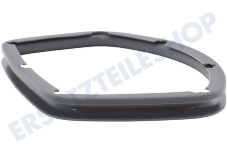 Samsung DC62-00474A Dichtungsgummi