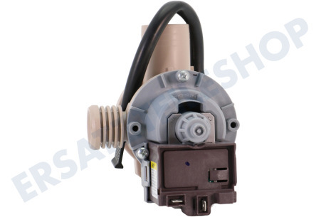 Haier Waschmaschine Ablaufpumpe