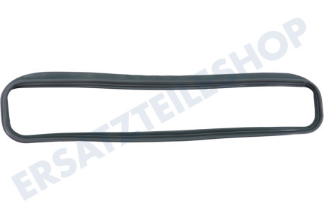 Electrolux Trockner Flusenfilterdichtung