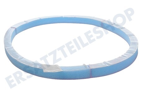 Ariston-Blue Air Trockner 113823, C00113823 Filzband Rückseite Schaumstoff