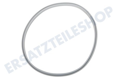 Balay Trockner 649767, 00649767 Dichtungsgummi von Tür
