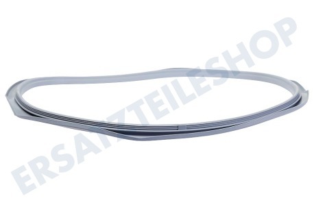 Constructa Trockner 637515, 00637515 Türdichtung