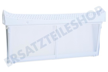 Schulthess Trockner 652184, 00652184 Filter Flusensieb