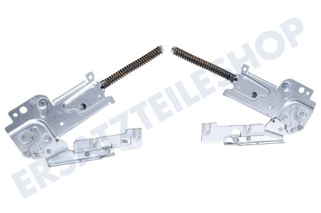 Electrolux Spülmaschine Scharnier von Tür, links und rechts