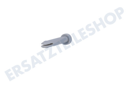 Hoover Spülmaschine Stift der Schiene, hinten