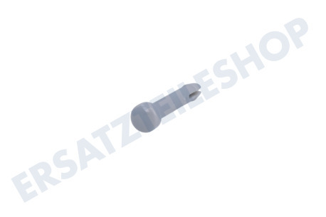 Hoover Spülmaschine Stift der Schiene, hinten