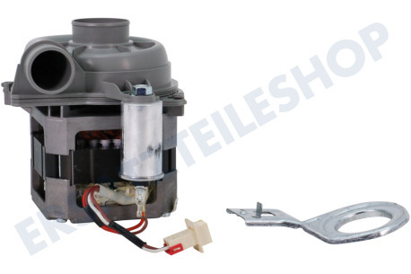 Beko Spülmaschine Pumpe Umwälzpumpe