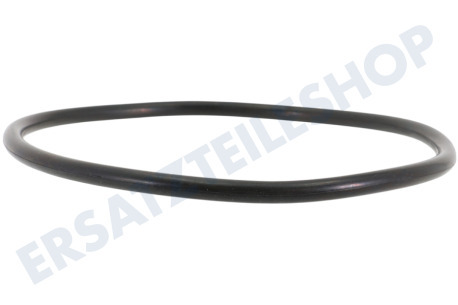 Gorenje Spülmaschine Dichtung des Pumpensumpfes