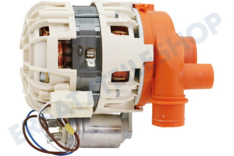 Smeg Spülmaschine Pumpe Zirkulation