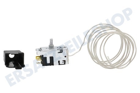 Zanussi Kühlschrank Thermostat Nr. 46 Danfoss 3 kont. + Lampe