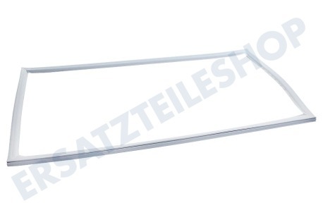 Zanker-electrolux Kühlschrank Dichtungsgummi Weiß 969,5x516,5mm