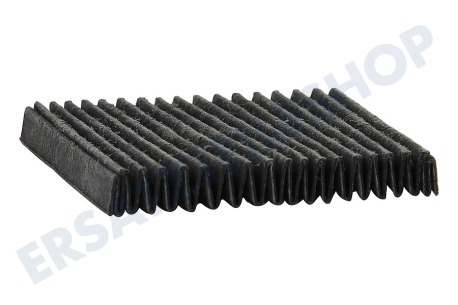 AEG Kühlschrank Filter Kohlefilter, 98x45mm