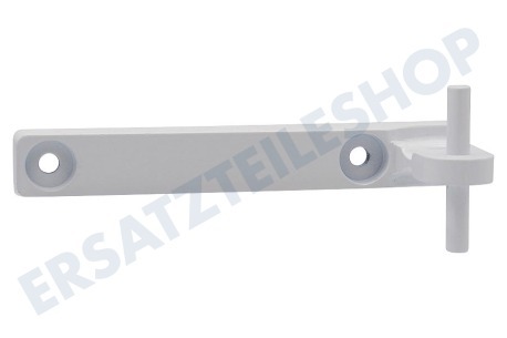 Profilo Kühlschrank 612260, 00612260 Scharnier Mitte -Metall-