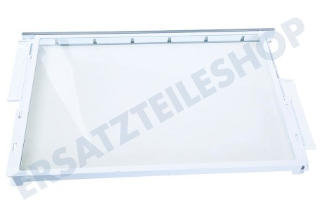 Bosch Kühlschrank 743406, 00743406 Glasplatte komplett mit Leisten