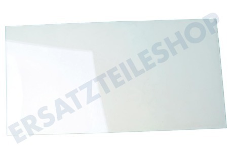 Zelmer Kühlschrank Glasplatte