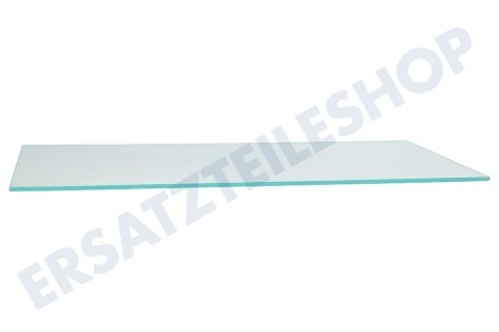Zelmer Kühlschrank Glasplatte