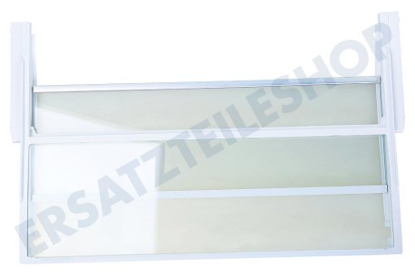 Bosch Kühlschrank 743197, 00743197 Geteilte Glasablage