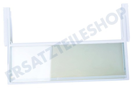 Bosch Kühlschrank 743197, 00743197 Geteilte Glasablage