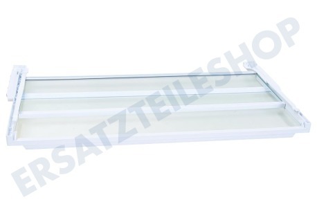 Bosch Kühlschrank 743197, 00743197 Geteilte Glasablage