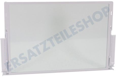 Neff Kühlschrank Glasplatte Glasablage