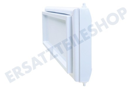 Gorenje Kühlschrank Gefrierfachklappe komplett