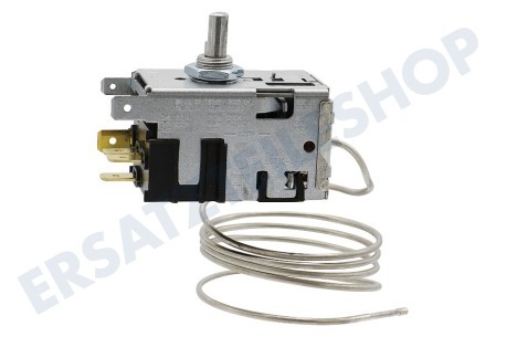 Gorenje Kühlschrank Thermostat 077B6532 Danfoss