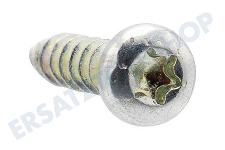 Liebherr Kühlschrank Torx-Schraube